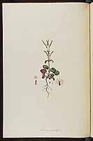  no thumbnail available