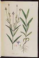  no thumbnail available