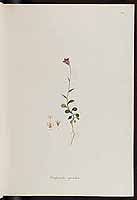  no thumbnail available