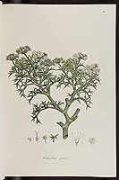  no thumbnail available