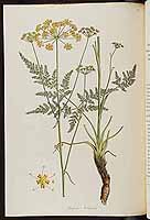  no thumbnail available