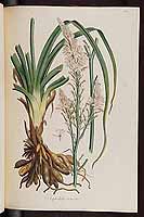  no thumbnail available