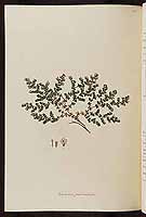  no thumbnail available