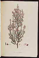  no thumbnail available