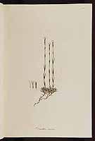  no thumbnail available