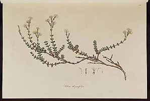  no thumbnail available