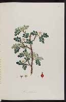  no thumbnail available