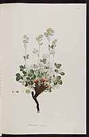  no thumbnail available