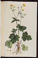  no thumbnail available