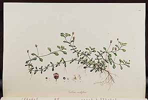  no thumbnail available