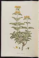  no thumbnail available