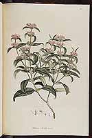  no thumbnail available