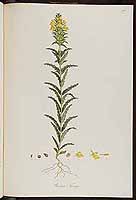  no thumbnail available