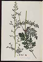  no thumbnail available