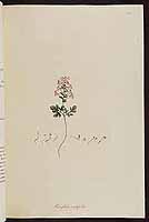  no thumbnail available