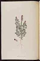  no thumbnail available