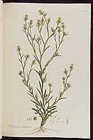  no thumbnail available