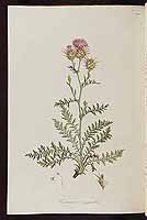  no thumbnail available