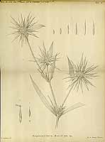  no thumbnail available