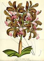  no thumbnail available