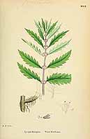  no thumbnail available