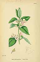  no thumbnail available