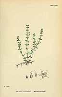  no thumbnail available