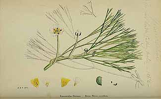  no thumbnail available