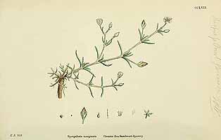  no thumbnail available