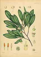  no thumbnail available