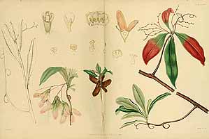  no thumbnail available