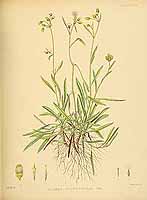  no thumbnail available