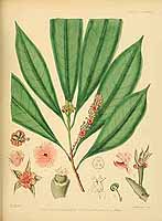  no thumbnail available