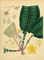  no thumbnail available