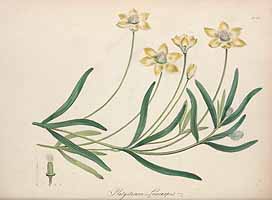  no thumbnail available