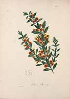  no thumbnail available