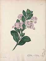  no thumbnail available