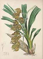  no thumbnail available