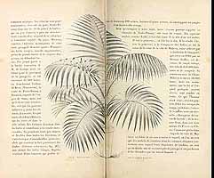  no thumbnail available