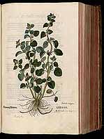  no thumbnail available