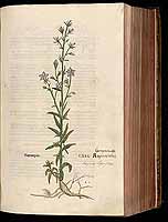  no thumbnail available