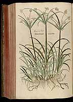  no thumbnail available