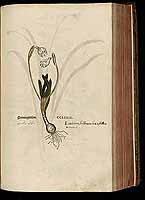  no thumbnail available