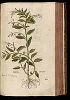  no thumbnail available