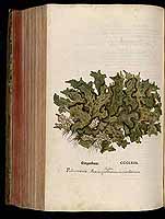  no thumbnail available