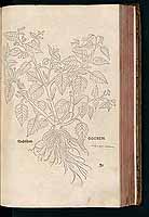  no thumbnail available