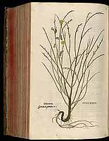  no thumbnail available