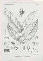  no thumbnail available