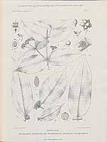  no thumbnail available