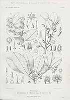  no thumbnail available